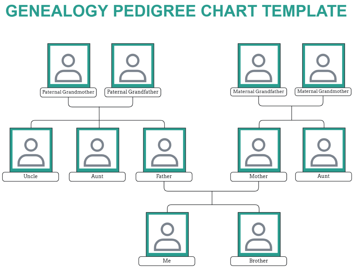 Free Genealogy Pedigree Chart Template