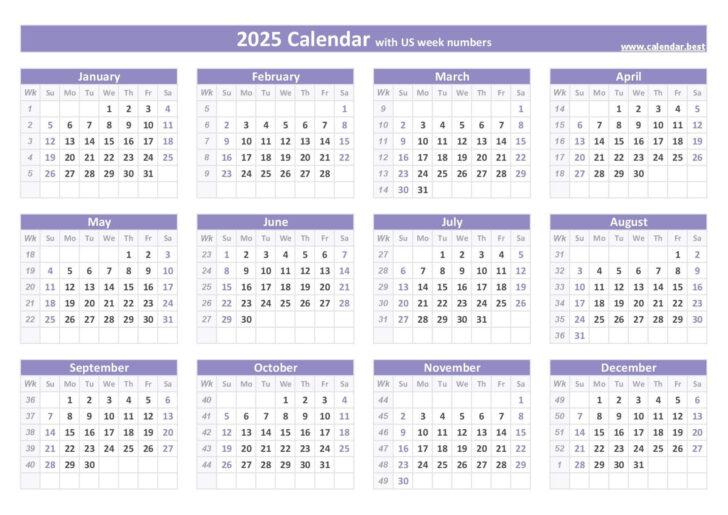 Blank 6 Week Calendar 2025 Printable