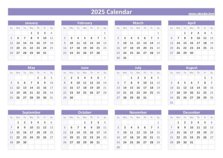 12 Month 2025 Printable Calendar