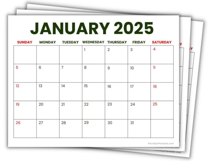 12 Month Calendar 2025 Printable Free