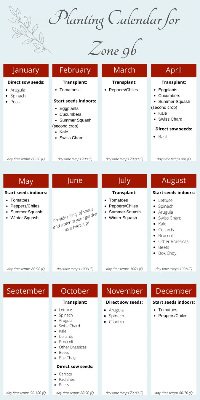 Garden Calendar Zone 9 within Rci Timeshare Calendar 2025 Printable